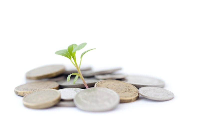 A pile of coins with a plant in the middle, representing growth through investment