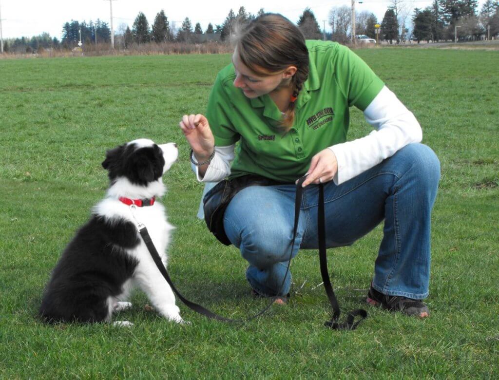 An owner training her dog