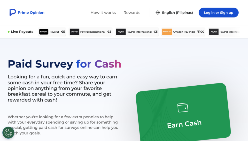 Screenshot of primeopinion.com Earn Cash page