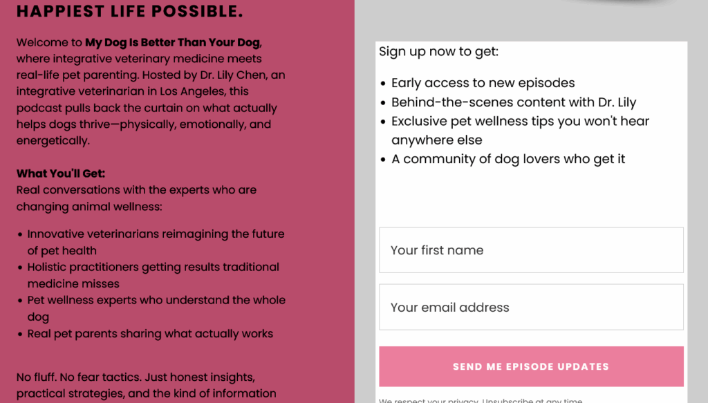 Screenshot of a landing page advertising a newsletter